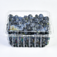 Aangepaste transparante fruitverpakking voor blauwe bessen, wegwerp plastic clamshell verpakking voor blauwe bessen