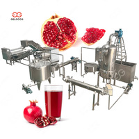 Industriële Automatische Professionele Granaatappel Aril Separator Schroef Pers Juicer Machine Granaatappelsap Productielijn