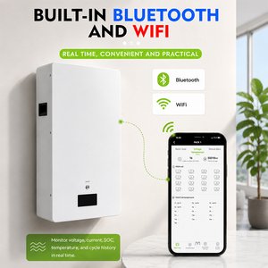 Shinel Long Life 51.2V <b>Wall</b>-Mounted LiFePO4 Battery 200Ah/300Ah IP66 Protection Hybrid <b>Grid</b> Solar Energy Storage System - Product Image 4
