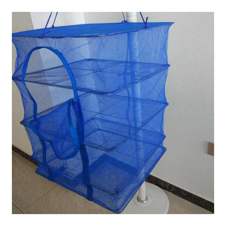 dried it in the sun over fish nets Hwayslon Hanging Drying Net Foldable Drying Rack Net Dryer 19.7"x19.7"x37.4" 6 Layer Folding Mesh Collapsible Dry Net with Zippers for Fish Vegetables Drying Seeds Fruit Herb : Home & Kitchen Fish Sun-dried On Nets Outdoors
