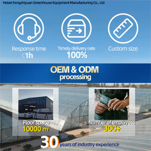 Low Cost Tomate e Morango Plantação Túnel Estufa Kits Policarbonato Single -span Plastic Film Estufa Agrícola - Product Image 5
