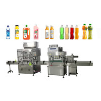 Machine de remplissage d'eau carbonatée Semi-automatique pour savon liquide, shampoing, Soda, bouteille Pet, avec scellant, prix