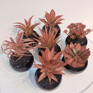 Bonsái Artificial de <span class=keywords><strong>Mango</strong></span> de Invierno, Suculenta Negra de PVC Suave con Plato, Decoración para el Hogar, Oficina, Escritorio, Mini Adorno, Altura 10-17cm, Múltiples Unidades - Product Image 4