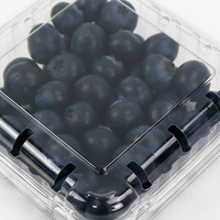 Boîte en plastique PET transparente à clapet de 6 oz, emballage de filets de bleuets, contenants de baies ventilés
