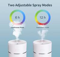 Humidificateur d'air portable 2024 avec lumière LED, mini pulvérisateur de brume H2O 300 ml, double humidification, diffuseur d'huiles essentielles aromatiques, humidificateur d'air USB pour voiture