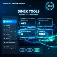 Solution ECU SIM2K TOOLS pour KIA et Hyundai, gestionnaire intelligent de codes DTC, un clic pour P2004, P2006, P2008, P2009 et P2010