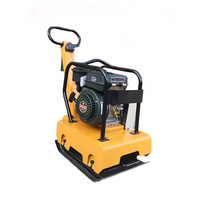 Pilon vibrant à plaque plate essence-diesel-électrique, petit équipement de compactage de sol, prix usine