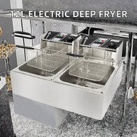 WINNERS DZL-D 12L Friteuse électrique commerciale de table compacte 2500W 220V Garantie 1 an pour hôtels et restaurants