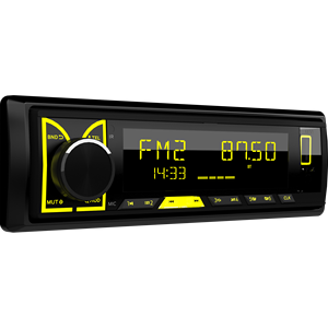 DSP Car Radio MP3 Player 4