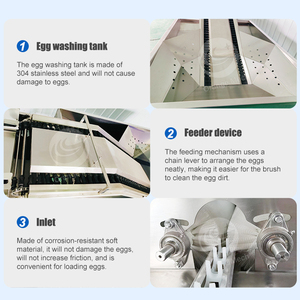 Orme thương mại trứng bùn Bàn chải máy vỏ trứng máy giặt trứng máy giặt sạch hơn để bán - Product Image 5