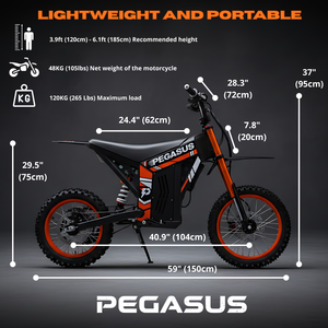 Pegasus  Dropshipping <span class=keywords><strong>Moto</strong></span> électrique tout-terrain 55 km/h Vitesse maximale 2000w Puissance Scooter électrique à deux roues - Product Image 3