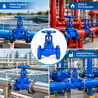 Vanne à opercule à bride PN16 DN65 en fonte ductile GGG50 OS&Y pour l'isolement et la régulation des conduites d'eau industrielles