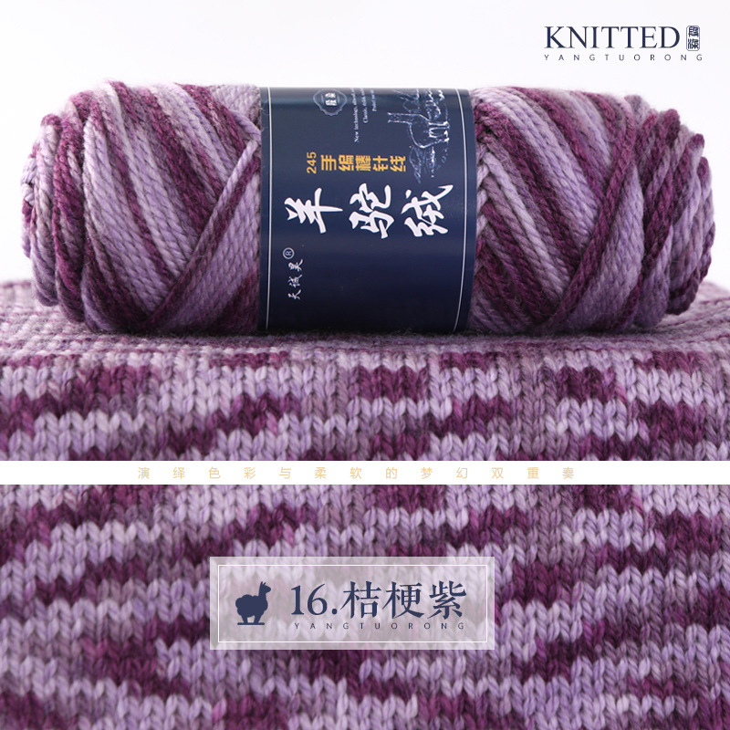 16 platycodon violet