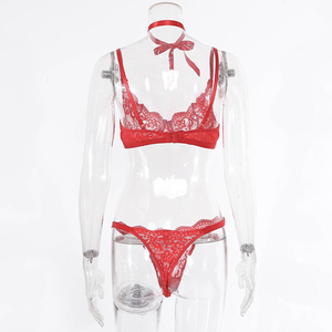 SADI 2022 Bragas de Encaje Transparentes Rojas para Mujer, Ropa Interior Sexy con Bordado, Lencería Sexy para Mujer - Product Image 5
