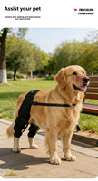 Attelle intégrée pour genou et pattes arrière de chien, stabilisateur post-opératoire pour déchirure de la LCA, enveloppe de soutien pour rééducation des blessures à la hanche du chien