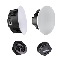 60W WLAN BT Aktiver Deckenlautsprecher USB LAN AirPlay Multiroom Deckenlautsprecher für Restaurant Geschäft Schule Hintergrundmusiksystem