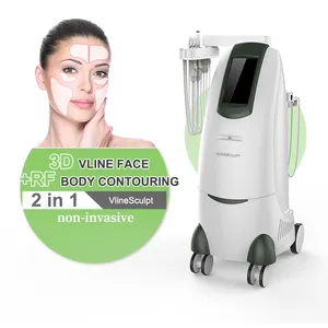 2024 Factory Price Fat Patch Machine Emt Rf Reduce Wrinkles Thin Face Shaping Increase Collagen Machine