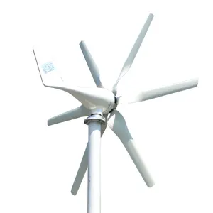 Factory 800w 12v 24v Horizontal Wind Turbine Generator With Wind Controller