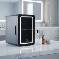 Mini-réfrigérateur portable 6L, glacière électrique, petit congélateur pour la maison, la voiture, le dortoir, l'usage étudiant, en plastique