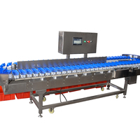 Diepgevroren Zeevruchten Weeg-En Sorteermachine Roterende Plaat Gram Gewicht Meetapparatuur Durian Vlees Fruit Sorteermachine