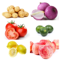 Sorteermachines En Sorteermachines Voor Groenten En Fruit, Producten Voor De Grootte, Sorteermachine Voor Fruit En Sortering