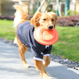 EVA Basit Isırmaya Dayanıklı Uçan Disk Getirme Eğitimi Yüzen Köpek Oyuncağı Dayanıklı Açık Hava İnteraktif Eğitim Evcil Hayvan Çiğneme Oyuncağı - Product Image 2
