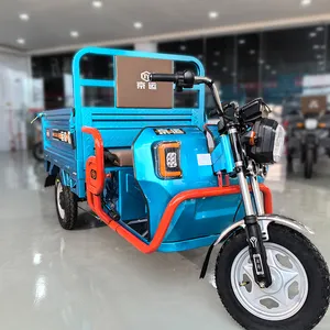 Triciclo elétrico de carga para caminhão de grande capacidade com cabine fechada 850 W
