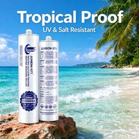 Scellant silicone pour toiture SANVO, durcissement neutre, 300 ml, résistant aux intempéries, résistant au vieillissement, résistant aux fissures, emballage pour la construction, haute adhérence