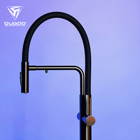 Robinet de cuisine en acier inoxydable pour eau chaude et froide, double, moderne, noir, avec tuyau en silicone et filtre