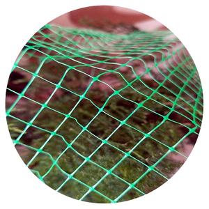 Red antiinsectos de plástico negro para jardín, gran oferta, Red de caza de pájaros estirada BOP hecha de HDPE para aplicación <span class=keywords><strong>en</strong></span> carreteras y ecologización - Product Image 6