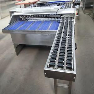 เครื่องคัดแยกไข่อัตโนมัติขนาดเล็กโดยน้ำหนักสภาพใหม่สำหรับร้านอาหารเบเกอรี่และฟาร์มเครื่องคัดแยกไข่ - Product Image 5