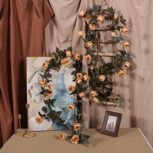 Guirlandes de pivoines artificielles en soie, décoration murale pour l'intérieur de la maison, style Instagram. - Product Image 2