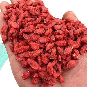 Thé de santé aux herbes chinoises Goji, supplément de goji rouge fraîchement transformé, en vrac, en boîte, qualité supérieure, 500g - Product Image 1