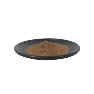 Many Years Hot Supply Chinese Cinnamon Powder Cinnamon Bark Extract with GMP