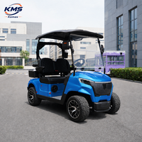 Voitures de golf électriques à prix de gros, mini-buggy 2 places, voiturette de golf motorisée à énergie nouvelle avec batterie au lithium 48V