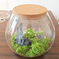 Grand terrarium en verre moderne pour plantes aériennes et succulentes - Vase de table fait main écologique pour la décoration de la maison/du bureau