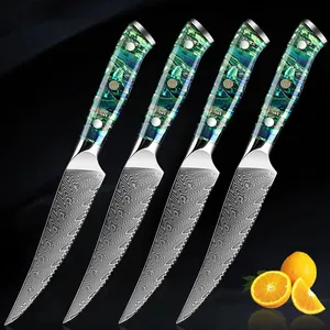 Custom 8 pcs Japanese Vg10 67Layers Damascus Chef Kitchen Knife with Abalone Shell Handle Vg10 Damascus Steel Steak Knife Set