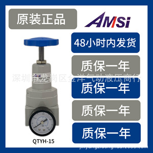 Vanne de réduction de pression Amsi Qtyh 15 1/4 pouces pour gaz et usage général pneumatique - Product Image 5