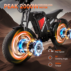 Moto Elettrica 60v2000w ad Alta Velocità con Motore Posteriore Brushless e Batteria al Litio 30ah per Adulti, Disponibile negli Stati Uniti - Product Image 5