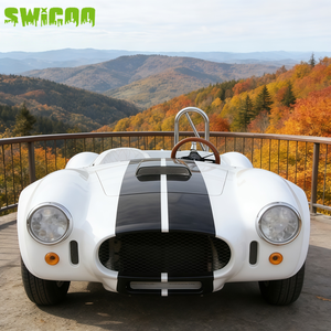 SWICOO Mini-voiture Cobra haute performance 2200W, avec bandes personnalisées, Buggy 2 places de qualité, Voiturette de golf Beetle - Product Image 3