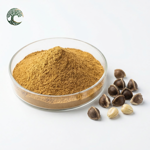 Poudre <span class=keywords><strong>de</strong></span> <span class=keywords><strong>graines</strong></span> <span class=keywords><strong>de</strong></span> <span class=keywords><strong>Moringa</strong></span>, extrait <span class=keywords><strong>de</strong></span> <span class=keywords><strong>graines</strong></span> <span class=keywords><strong>de</strong></span> <span class=keywords><strong>Moringa</strong></span>, poudre d'extrait <span class=keywords><strong>de</strong></span> <span class=keywords><strong>graines</strong></span> <span class=keywords><strong>de</strong></span> <span class=keywords><strong>Moringa</strong></span> Oleifera - Product Image 1