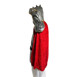 Enfant soldat garçons déguisement carnaval médiéval gladiateur enfants guerrier romain chevalier Costume - Product Image 5