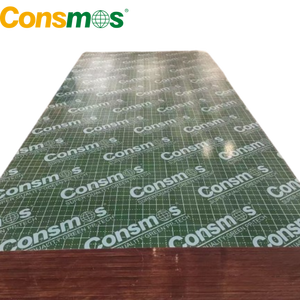 Panneau en plastique PP marin de 18 mm pour la construction - Product Image 3