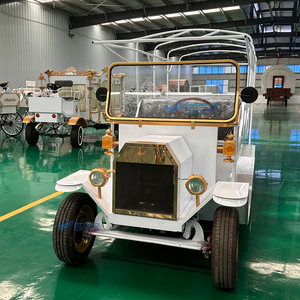 Voiture électrique vintage en acier, véhicule de tourisme classique, transport spécial des passagers - Product Image 3