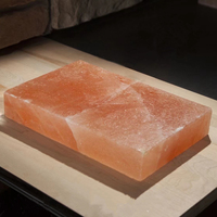 Briques et carreaux de sel de l'Himalaya les plus vendus pour salle de sauna