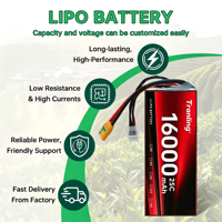 Batterie Lipo pour Drone FPV 16000mAh 22000mAh 4S 6S 8S 12S 14S 24S 64000mAh 22.2V Personnalisée