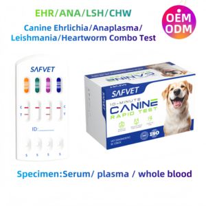 Kit de <span class=keywords><strong>test</strong></span> Safvet Crv Ag Kit de <span class=keywords><strong>test</strong></span> canin Antigène du <span class=keywords><strong>rotavirus</strong></span> (Crv Ag) <span class=keywords><strong>Test</strong></span> rapide Bande fécale - Product Image 4