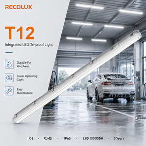 <span class=keywords><strong>Luminaire</strong></span> LED Tri-proof Commutable CCT et à Commande de Puissance, Luminaires Multi-Paramètres IP65 Résistants à l'Humidité pour Projets de Lavage de Voitures - Product Image 1