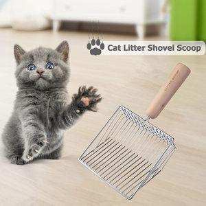 H0Qfg pala multifunzionale <span class=keywords><strong>per</strong></span> lettiera <span class=keywords><strong>per</strong></span> gatti paletta <span class=keywords><strong>per</strong></span> animali domestici in metallo prodotti <span class=keywords><strong>per</strong></span> la pulizia della sabbia toilette <span class=keywords><strong>per</strong></span> cucchiai <span class=keywords><strong>per</strong></span> cani e gatti - Product Image 5