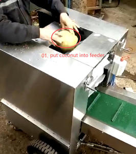 Máquina para Remover la Cáscara de Fibra de Coco Vieja/Máquina Semiautomática para Desgranar Coco Viejo - Product Image 3